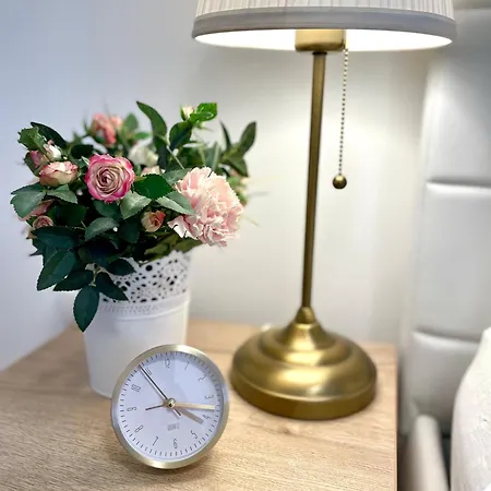 Tiara Vracar Apartment Belgrade